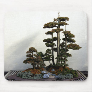 Chinese Juniper Bonsai Trees Mouse Pad