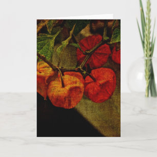 Chinese Lantern Plant With Fruit Holiday Card