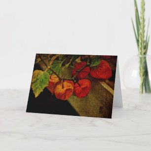 Chinese Lantern Plant With Fruit Holiday Card