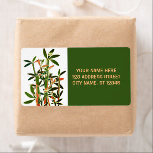 Chinese Lucky Bamboo Plants. personalised