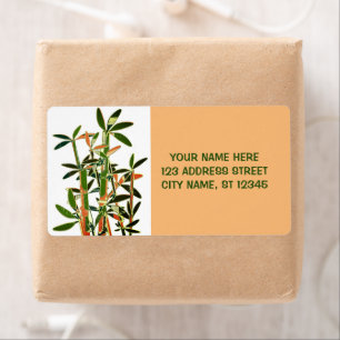 Chinese Lucky Bamboo Plants. personalized