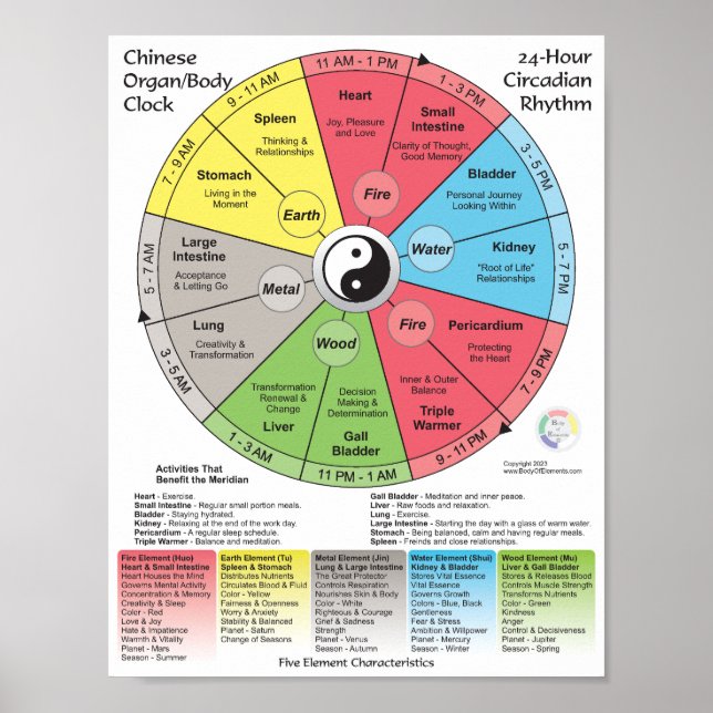 Chinese Medicine Meridian Body Clock Poster (Front)