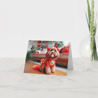Chinese New Year Cavoodle Card