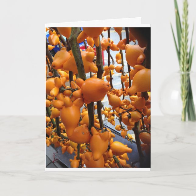 Chinese New Year greeting card. Kung Hei Fat Choi! Holiday Card (Front)