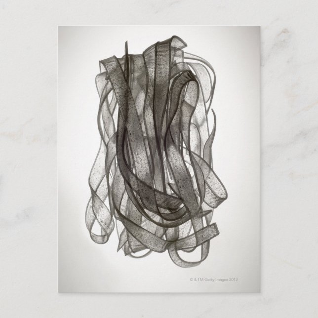 Chinese Noodle Postcard (Front)