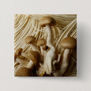 Chinese noodles and mushrooms 15 cm square badge