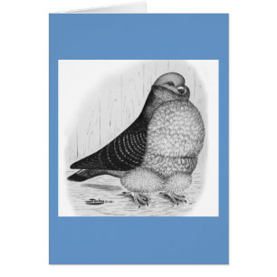 Chinese Owl Pigeon Ink Drawing