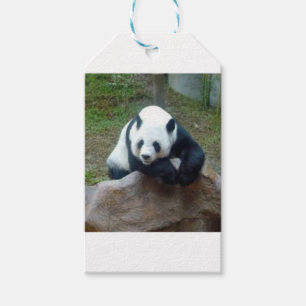 Chinese Panda Bear Gift Tags