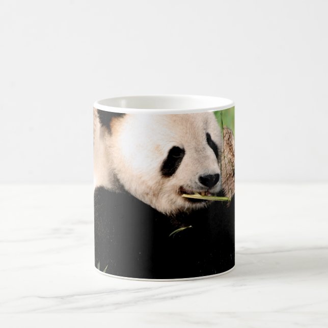 Chinese Panda Coffee Mug (Center)