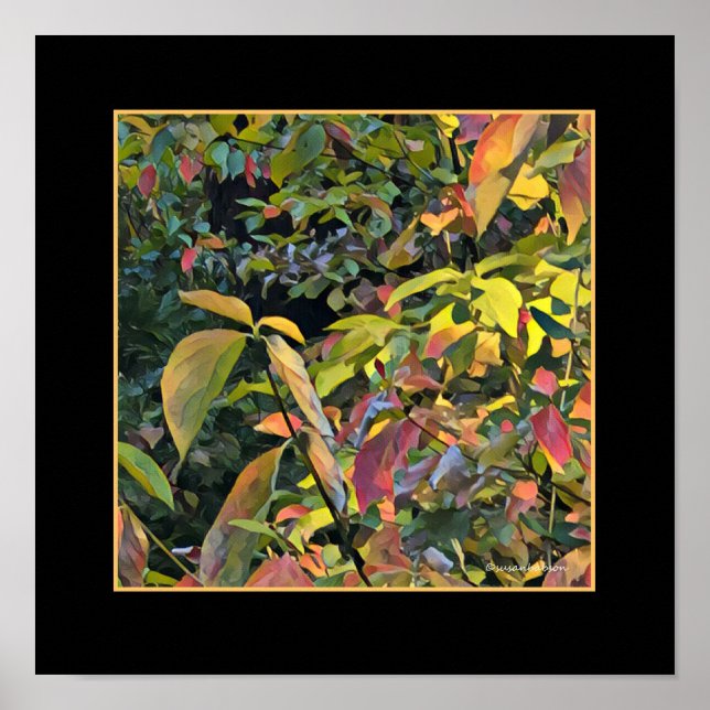 Chinese Pistachio in Fall Poster (Front)