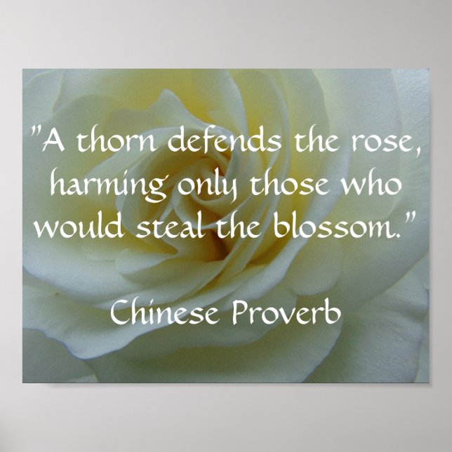 Chinese Proverb Rose Poster (Front)