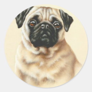 Chinese Pug Classic Round Sticker