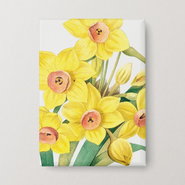 Chinese Sacred Lily, Pierre-Joseph Redouté,  (Front)