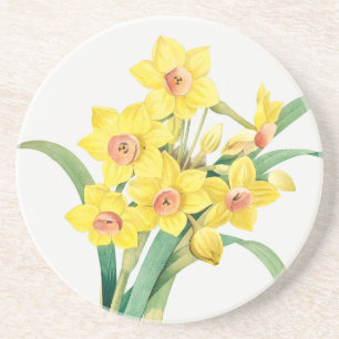 Chinese Sacred Lily, Pierre-Joseph Redouté, Coaster