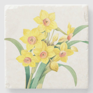 Chinese Sacred Lily, Pierre-Joseph Redouté, Stone Coaster