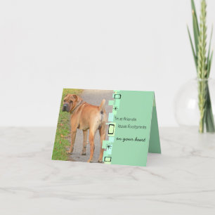 Chinese Shar Pei Birthday Greeting Card