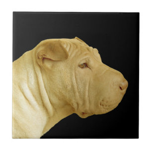 Chinese Shar-Pei Dog Profile Tile