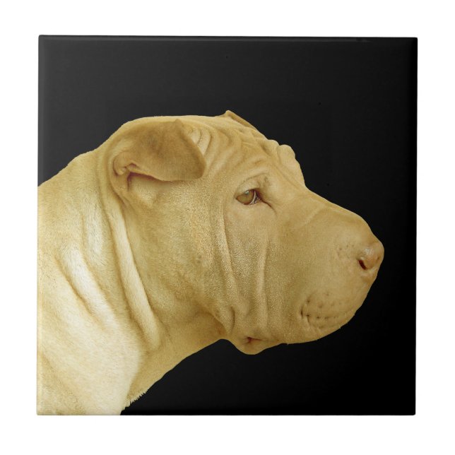 Chinese Shar-Pei Dog Profile Tile (Front)