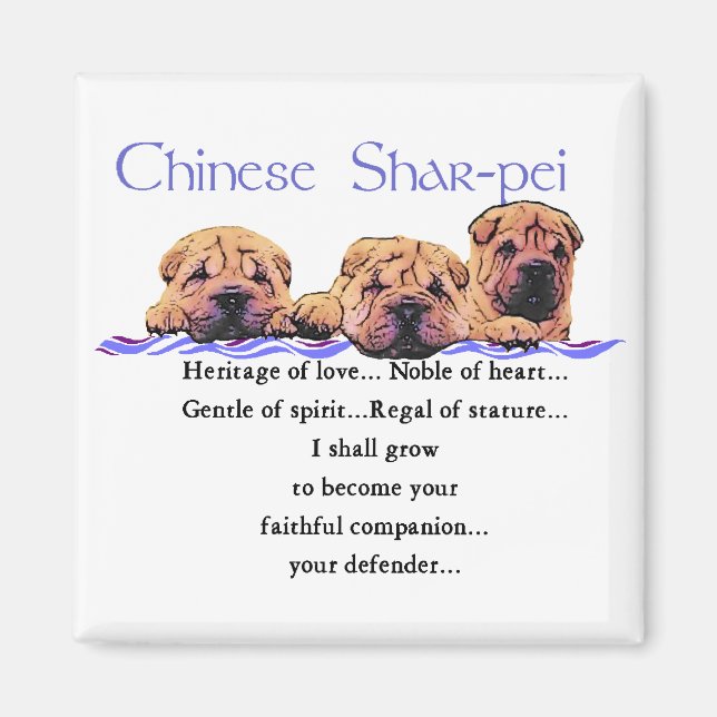 Chinese Shar-pei Gifts Magnet (Front)