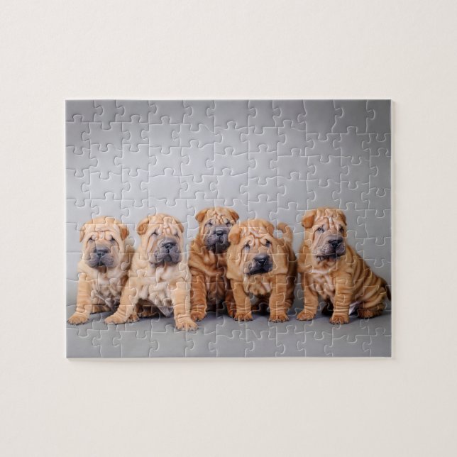 Chinese Shar pei puppies Jigsaw Puzzle (Horizontal)