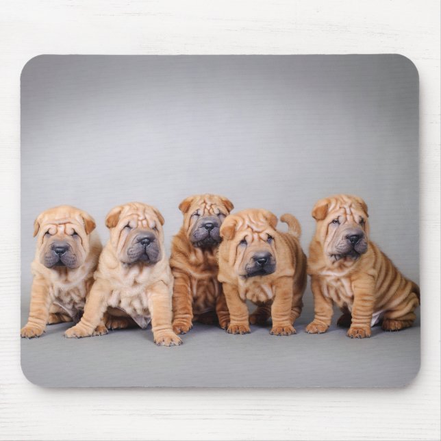 Chinese Shar pei puppies Mouse Pad (Front)