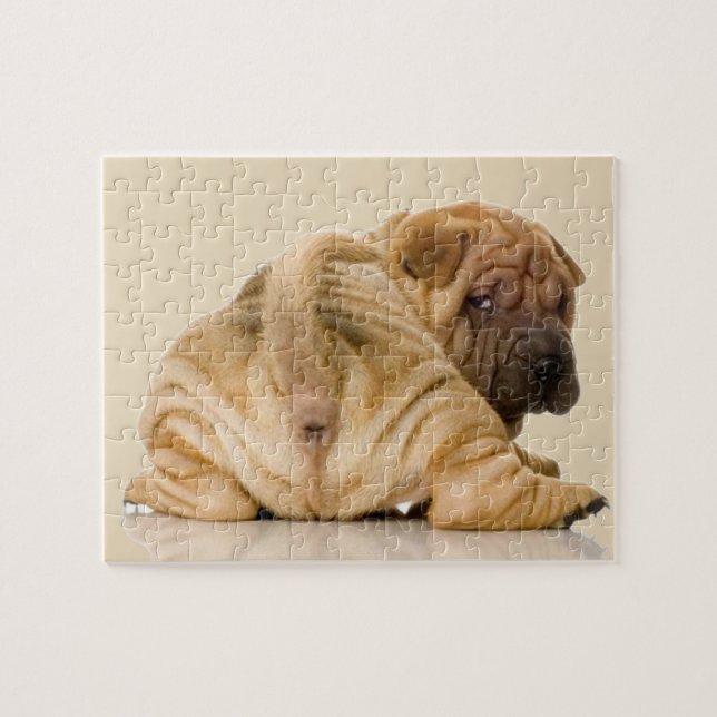Chinese Shar-pei Puppy Dog Jigsaw Puzzle (Horizontal)