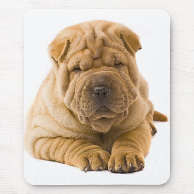 Chinese Shar Pei Puppy Dog - Sharpei Mouse Pad (Front)