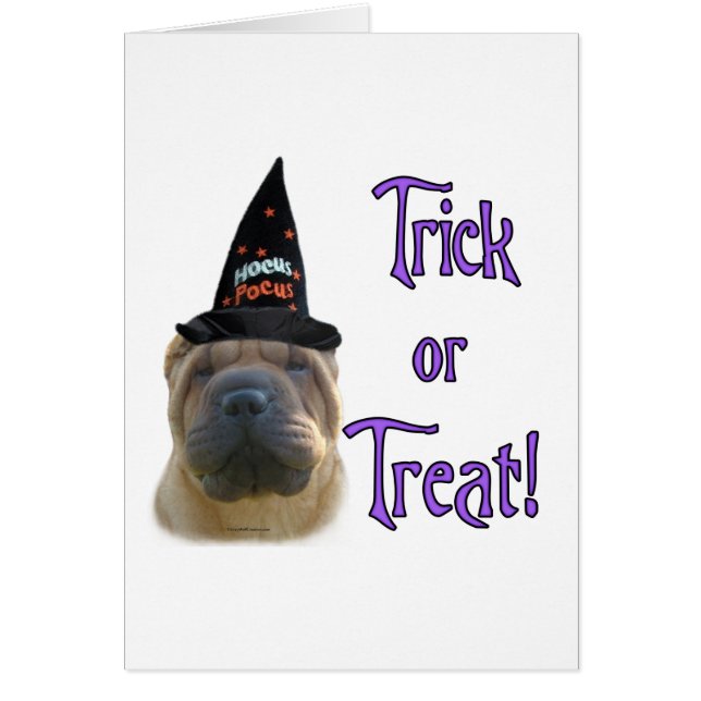 Chinese Shar-Pei Trick (Front)