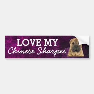 Chinese Sharpei bumper sticker