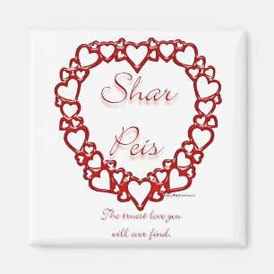 Chinese Sharpei True Love Magnet