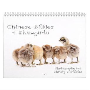 Chinese Silkie & Showgirl Calendar
