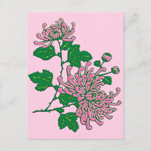 Chinese spider chrysanthemums - soft pink postcard