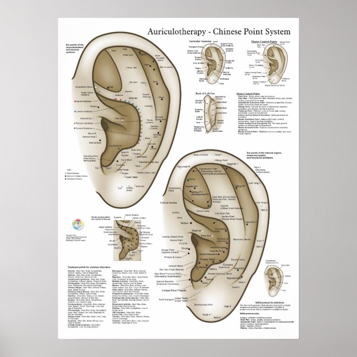 Chinese System of Auricular Ear Acupuncture Poster | Zazzle