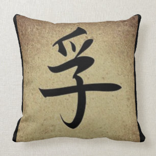 Chinese TRUTH Symbol Asian Theme Square Cushion