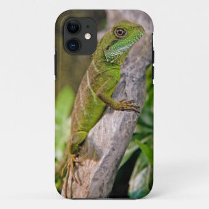 Chinese Water Dragon iPhone 5 Case
