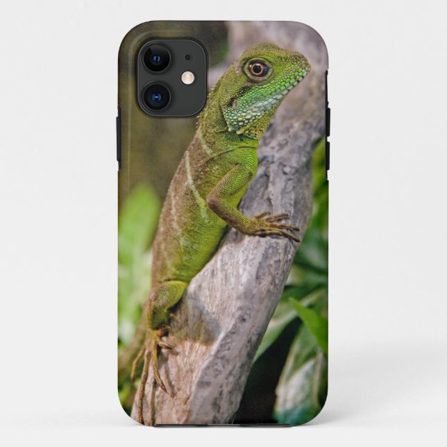 Chinese Water Dragon iPhone 5 Case (Back)