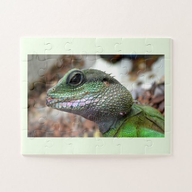 Chinese water dragon jigsaw puzzle (Horizontal)