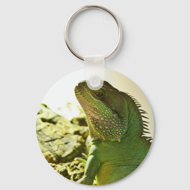 Chinese Water Dragon Key Ring (Front)