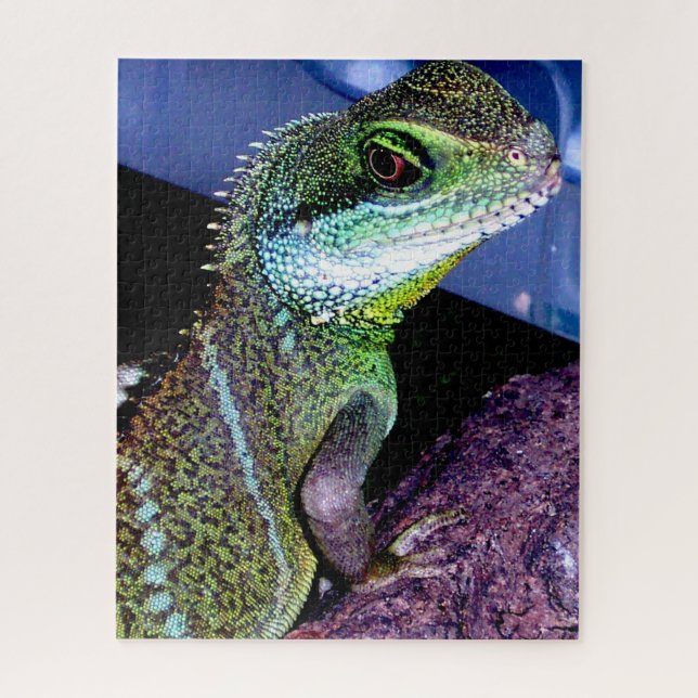 Chinese Water Dragon Lizard Jigsaw Puzzle (Vertical)