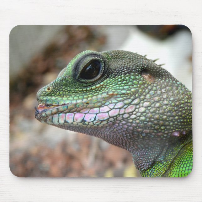 Chinese water dragon mouse pad (Front)