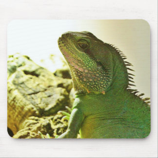 Chinese Water Dragon Mouse Pad