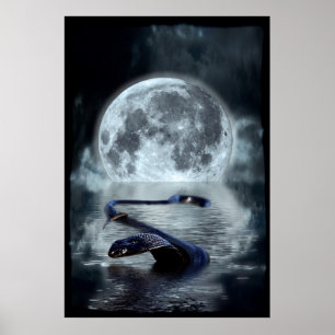 Chinese Year of the Snake Water Snake Black Snake Poster