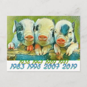 Chinese Years of the Pig Postcard