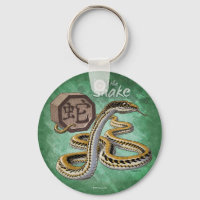 Chinese Zodiac Year of the Snake Art