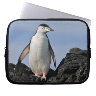Chinnie Laptop Sleeve