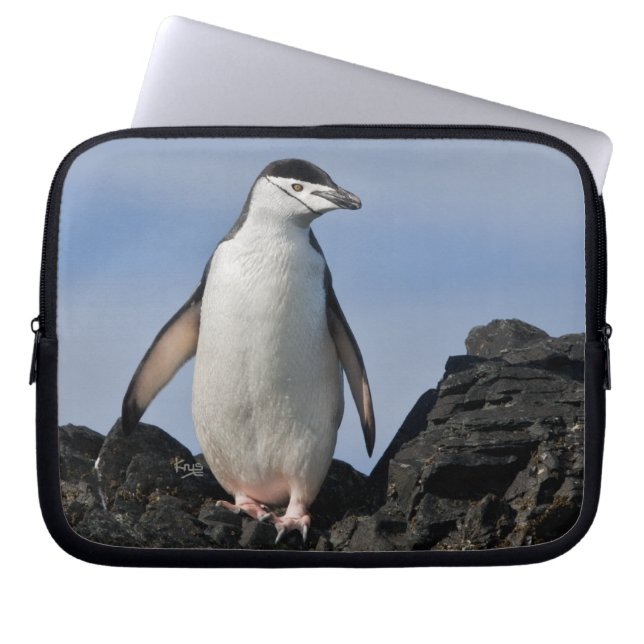 Chinnie Laptop Sleeve (Front)