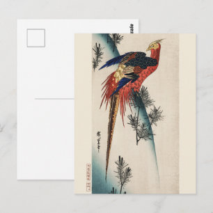 Chinoiserie Colourful Pheasant Bird & Pine Art Postcard