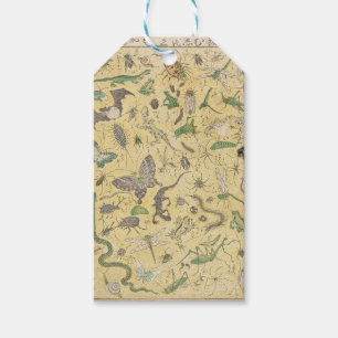Chinoiserie Japanese Bug & Insect Nature Poster Gift Tags
