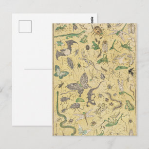 Chinoiserie Japanese Bug & Insect Nature Poster Postcard