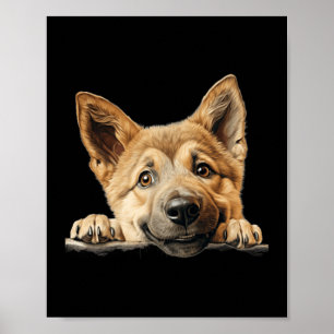 Chinook Dog Mum Dad Peeking Puppy Poster